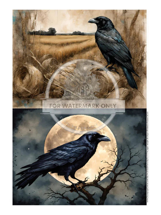 The Halloween Crow Duo Decoupage Rice Paper (DC531)