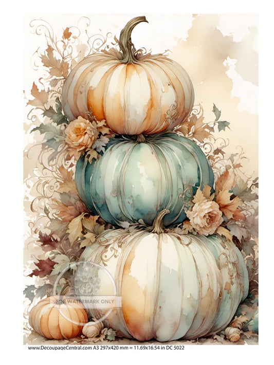 Watercolor Pumpkin Stacked Decoupage Rice Paper (DC5022)
