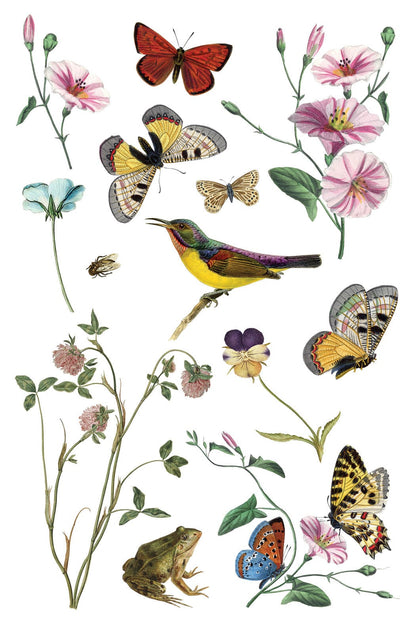 IOD Transfers Wilde Bloemen IOD Transfer 8x12 (8 Sheets)