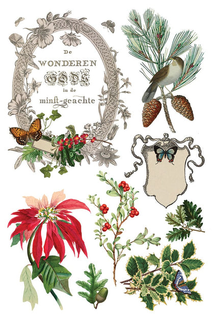 Locker61 Transfers Winter Botanist IOD Transfer 8x12 Pad (8 sheets)I