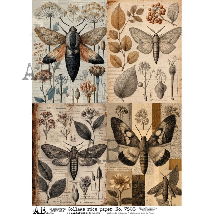 A4 Vintage Moths and Botanicals Collage Rice Paper (AB Studio No. 7806)