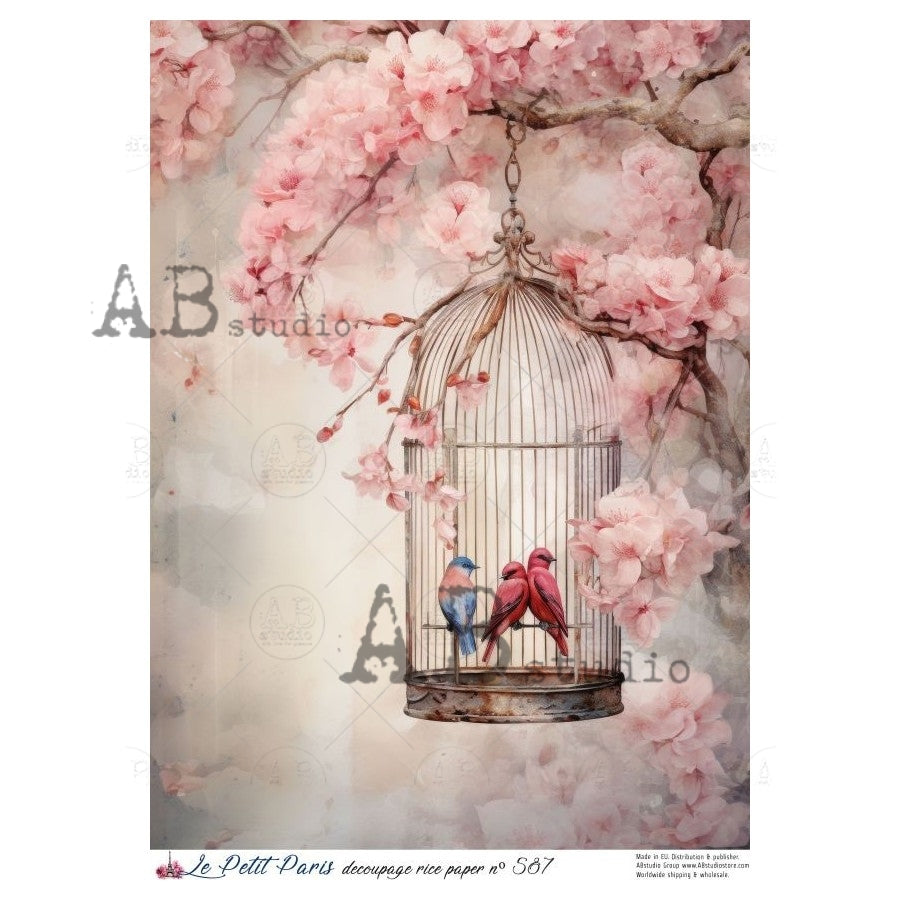 A4 Cherry Blossom Songbird Decoupage Rice Paper (Le Petit Paris no 587)